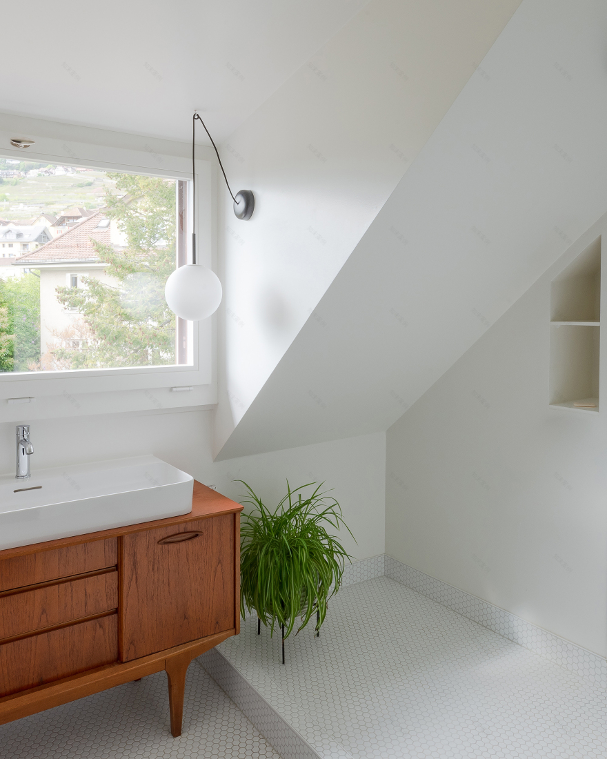 Bureau Brisson Architectes 打造独特别墅,领略湖畔美景-16