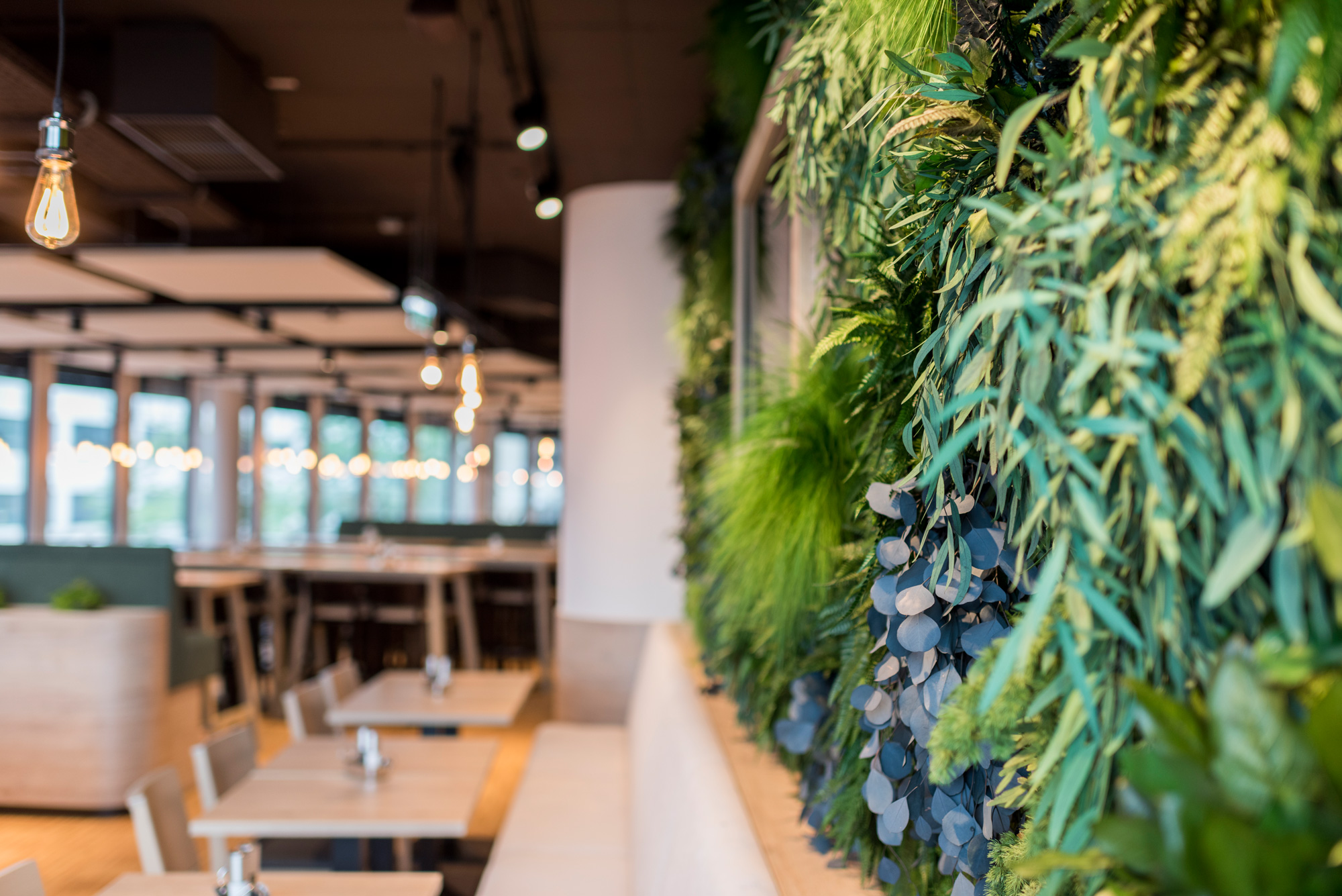 绿意盎然的原生态办公室垂直花园-4