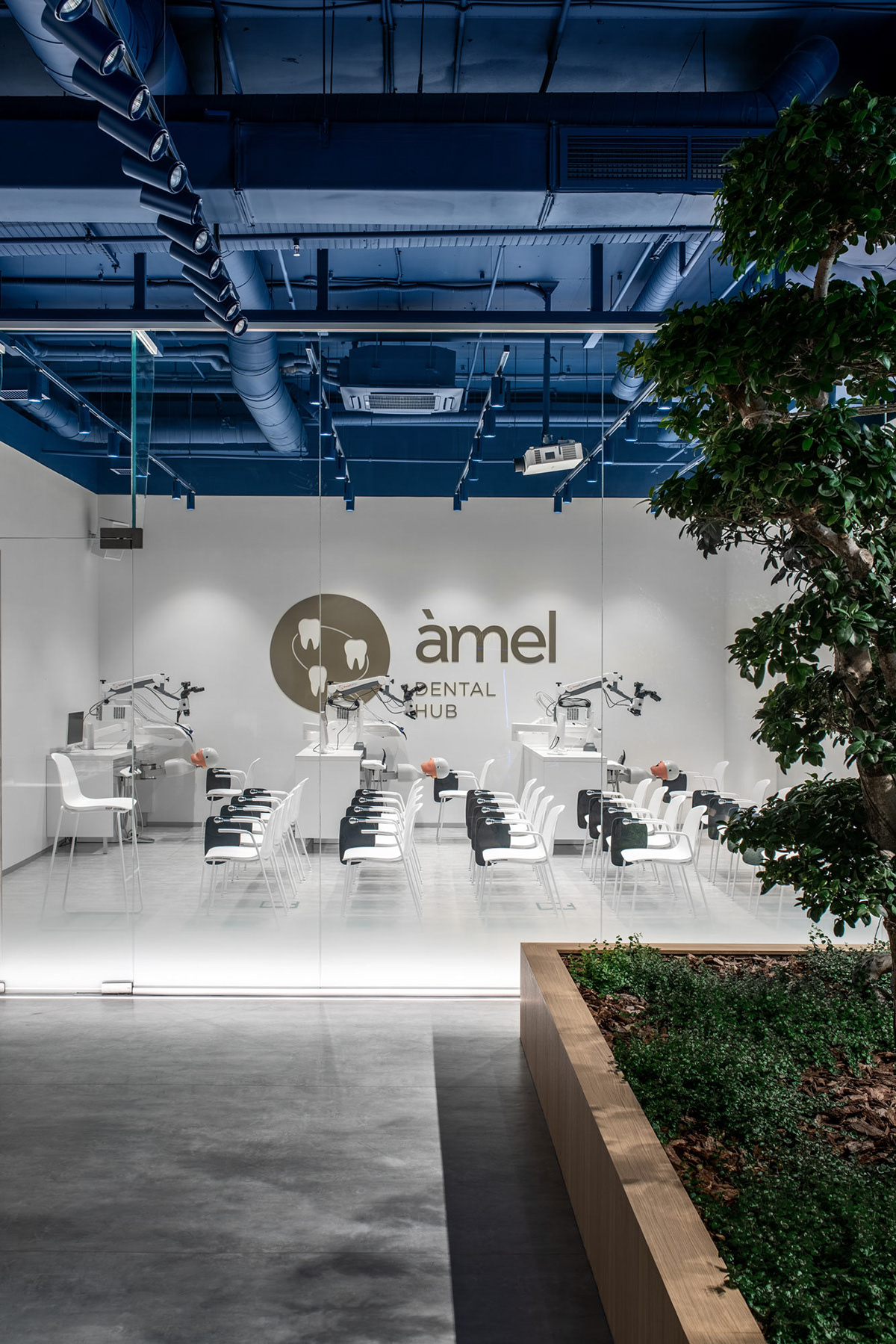 阿梅尔高科技牙科中心-5