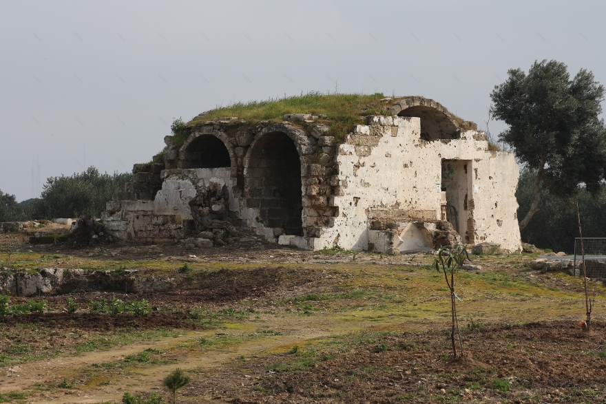 意大利 1600 年代别墅复兴,历史记忆与现代文化的完美融合-4