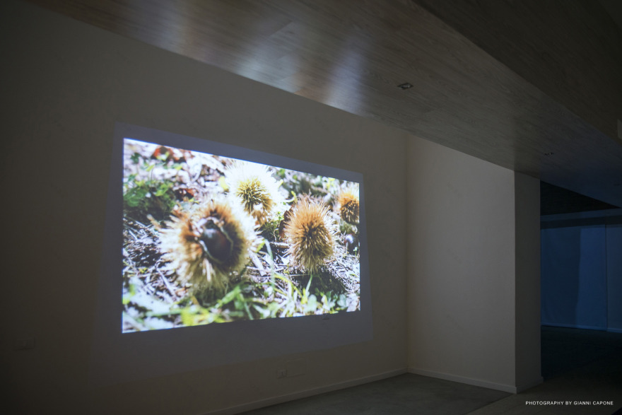 穿越五感的意式 Castagna IGP 博物馆设计-22