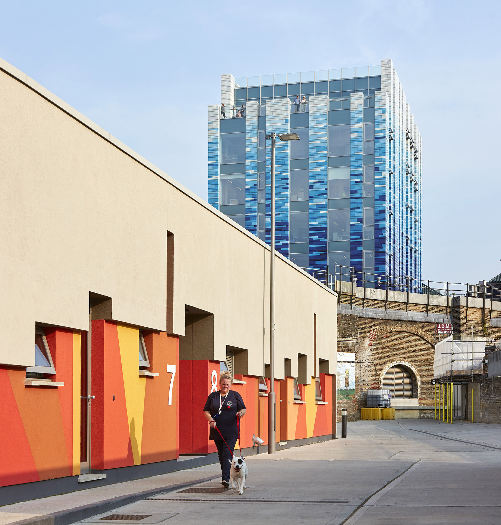 Battersea宠物医院，伦敦/蓝釉陶土瓷砖赋予建筑明亮鲜活的个性 -11