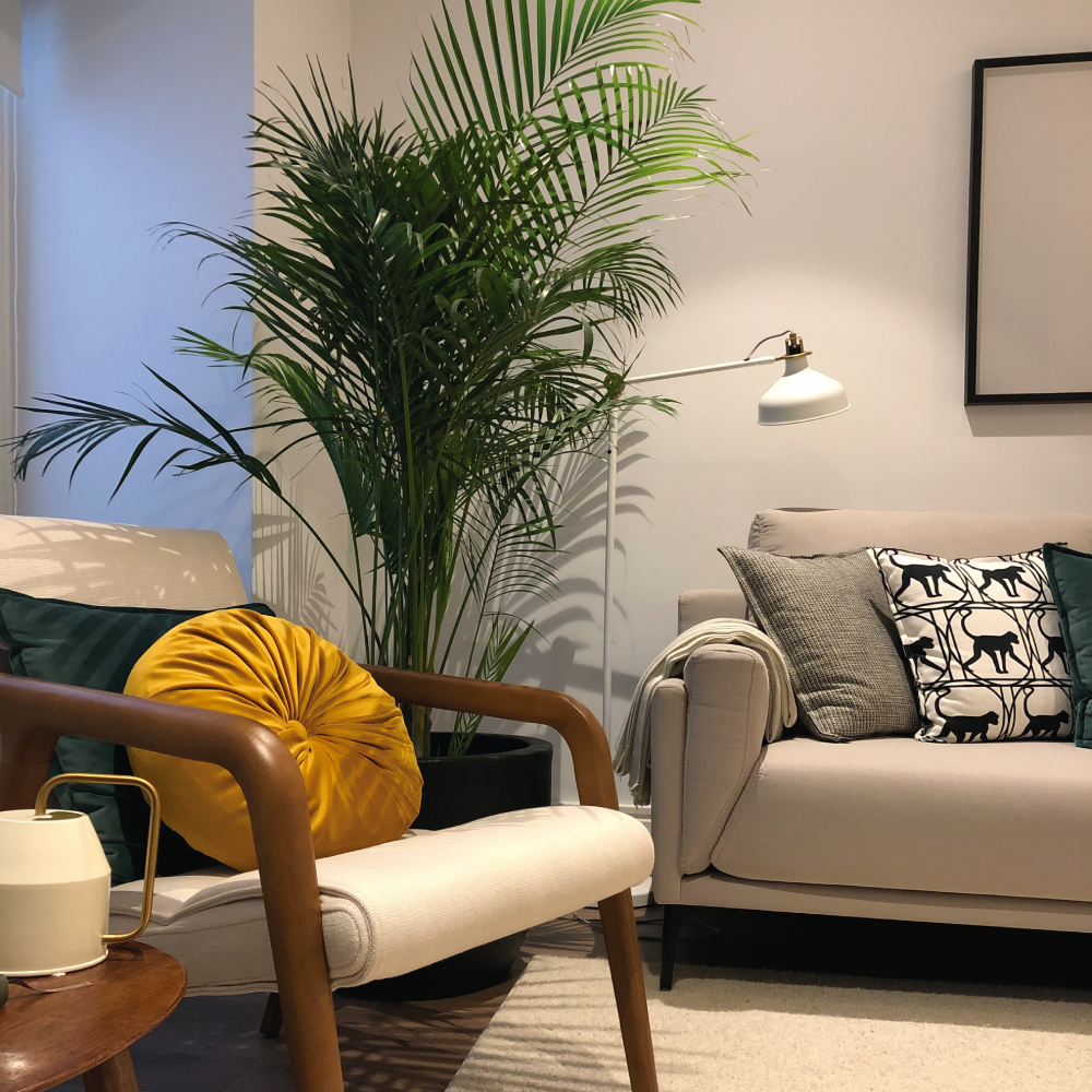 葡萄牙历史中心住宅翻新，木质阶梯成亮点-9