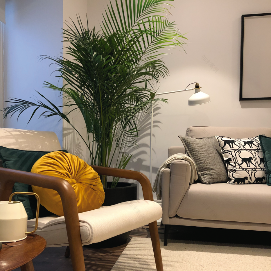 葡萄牙历史中心住宅翻新,木质阶梯成亮点-9