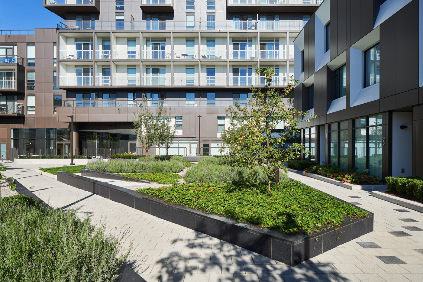 Michael Muraz丨公寓建筑丨SQ2 Condos-5