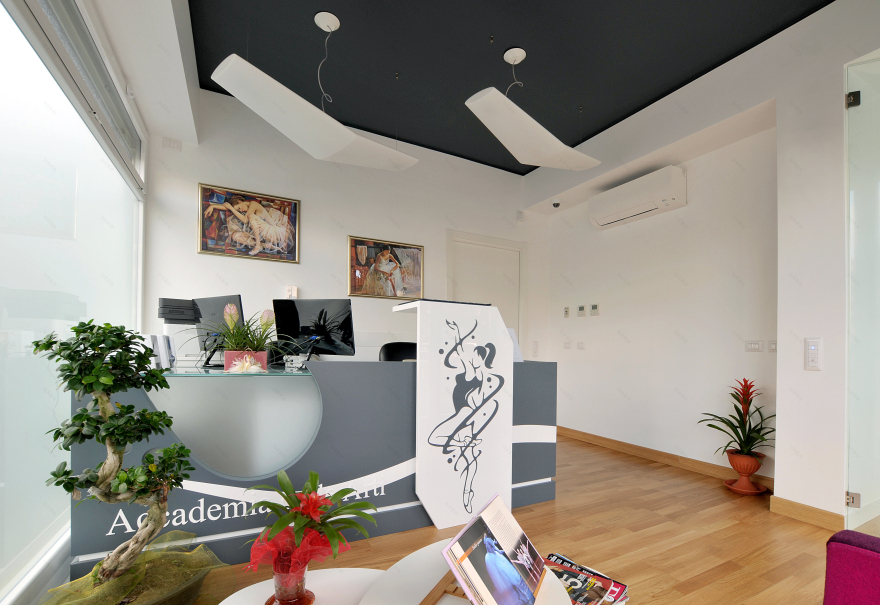 罗马艺术学院的优雅舞动空间-2