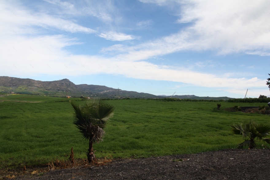 肉制品加工厂的现代设计-0