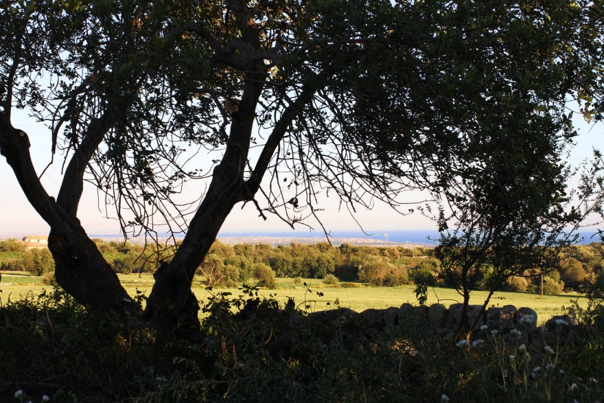 意大利乡村别墅“Rifugio Lanzagallo”-50