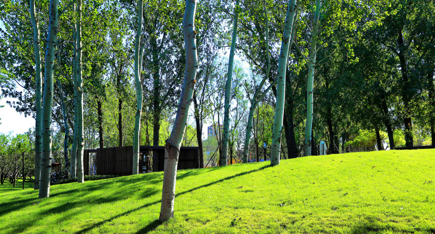 北京大兴龙熙旭辉住宅社区公园-8