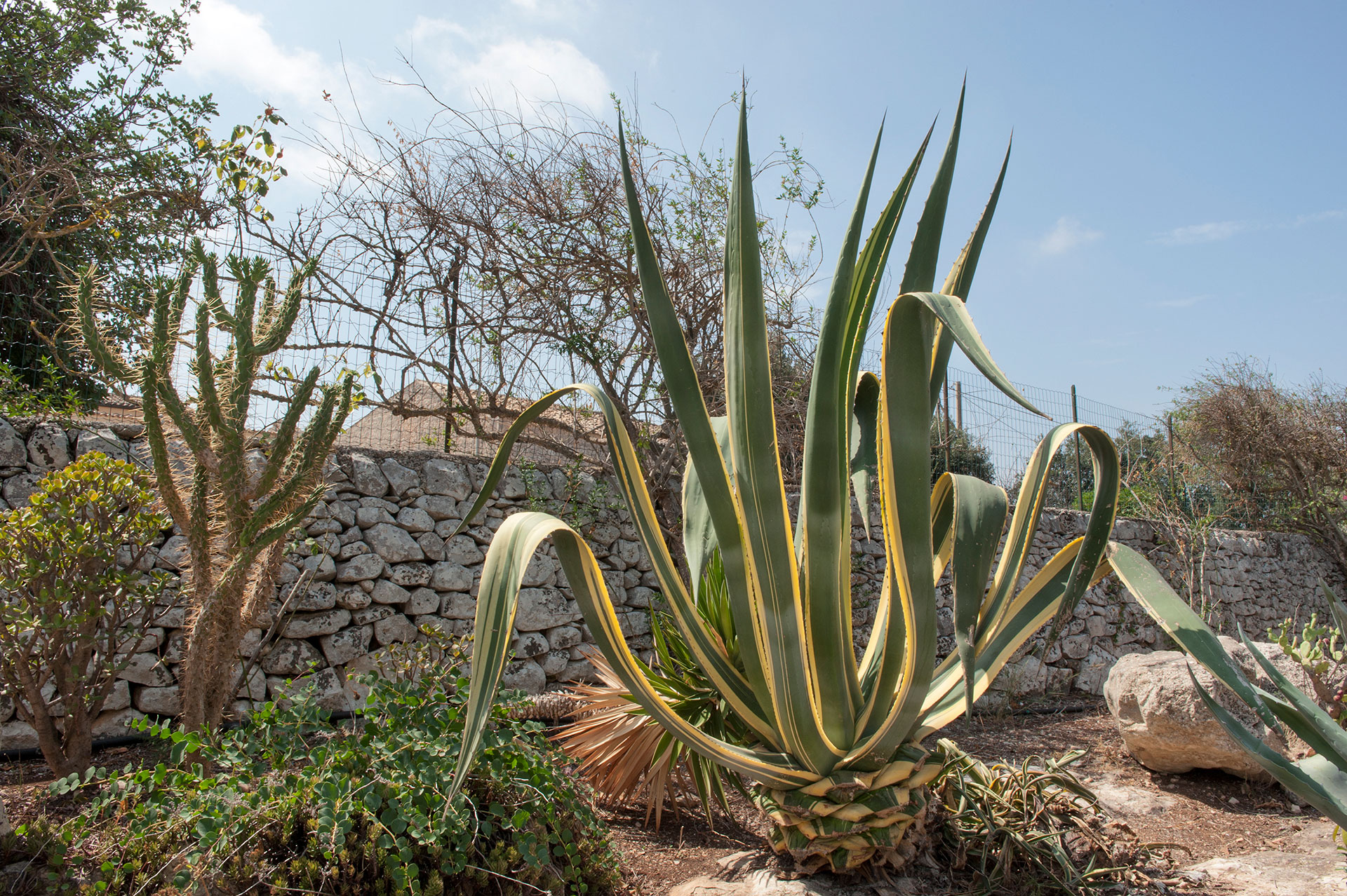 Sicilian holidays-25