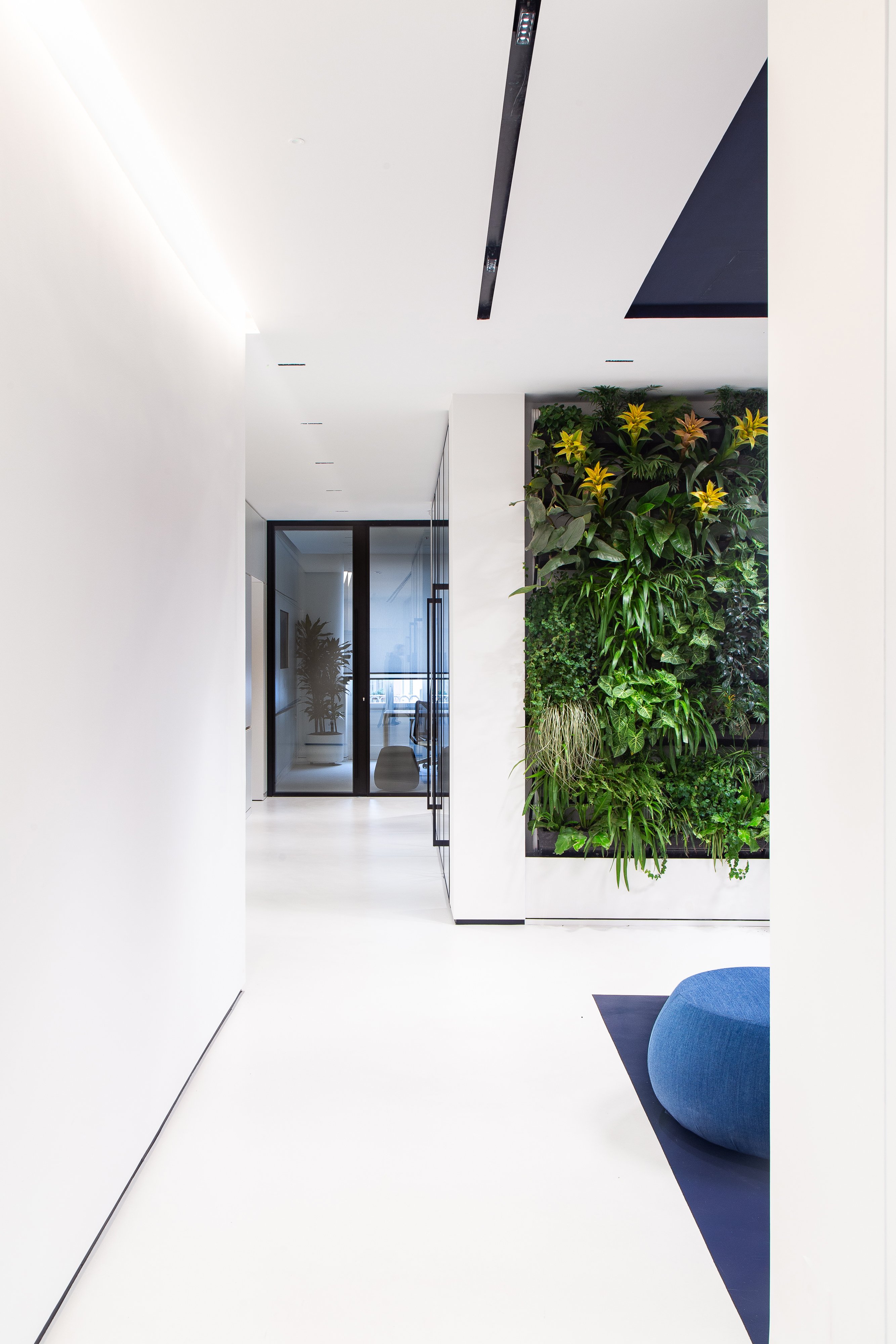 麦肯锡罗马办公室设计-16