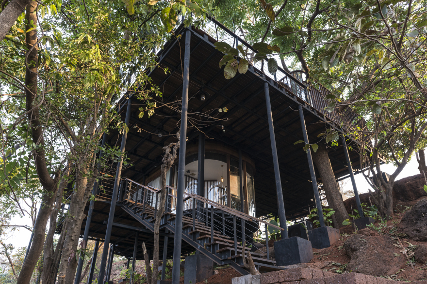 热带森林中的透明玻璃树屋别墅-10