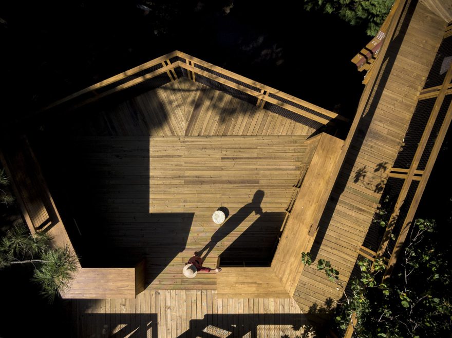 赛拉维斯公园树冠步道丨葡萄牙波尔图丨卡洛斯·卡斯塔涅拉建筑事务所-7