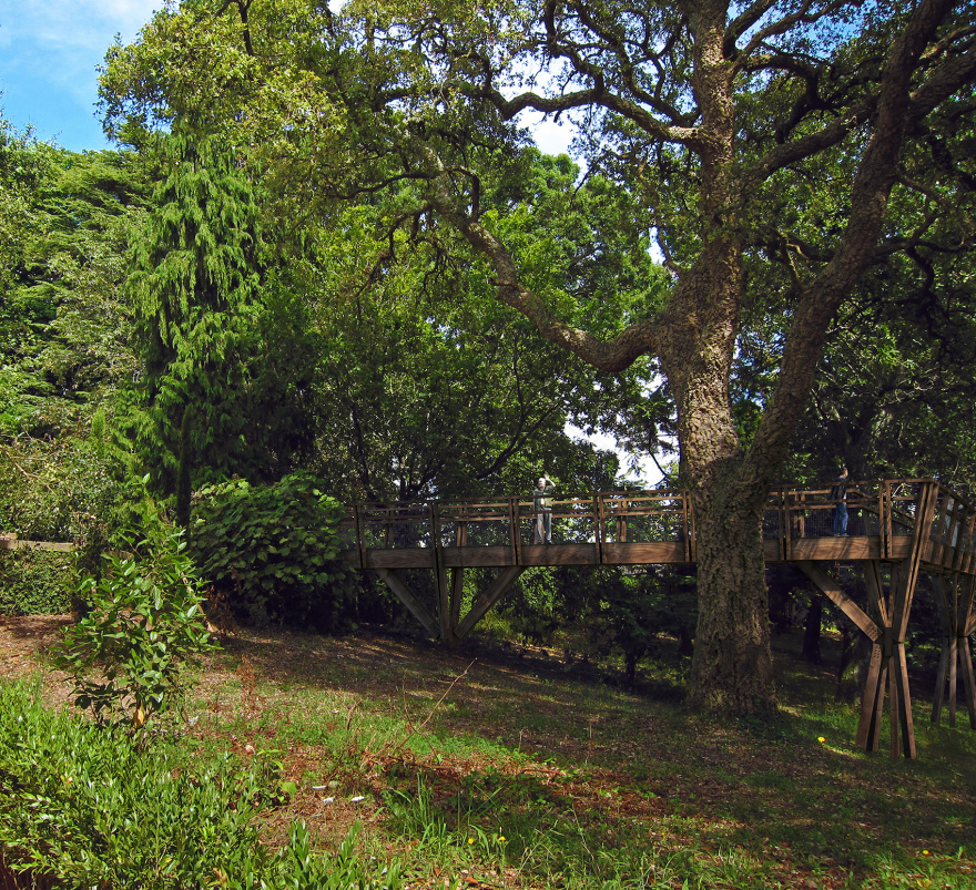 赛拉维斯公园树冠步道丨葡萄牙波尔图丨卡洛斯·卡斯塔涅拉建筑事务所-70