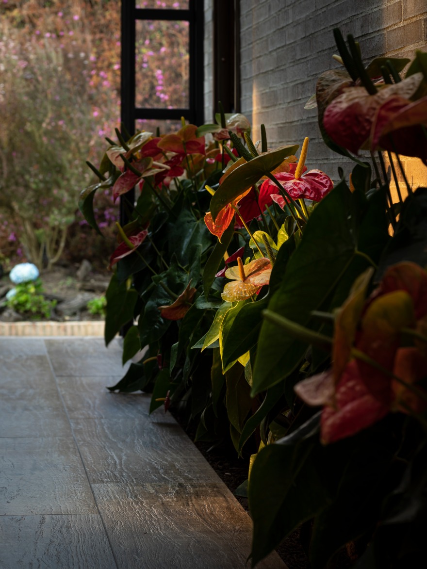 Casa Buen Camino 住宅设计-9