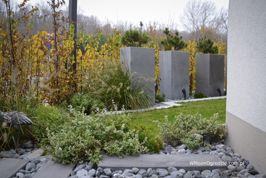 华沙沃拉区的小型屋顶花园-5