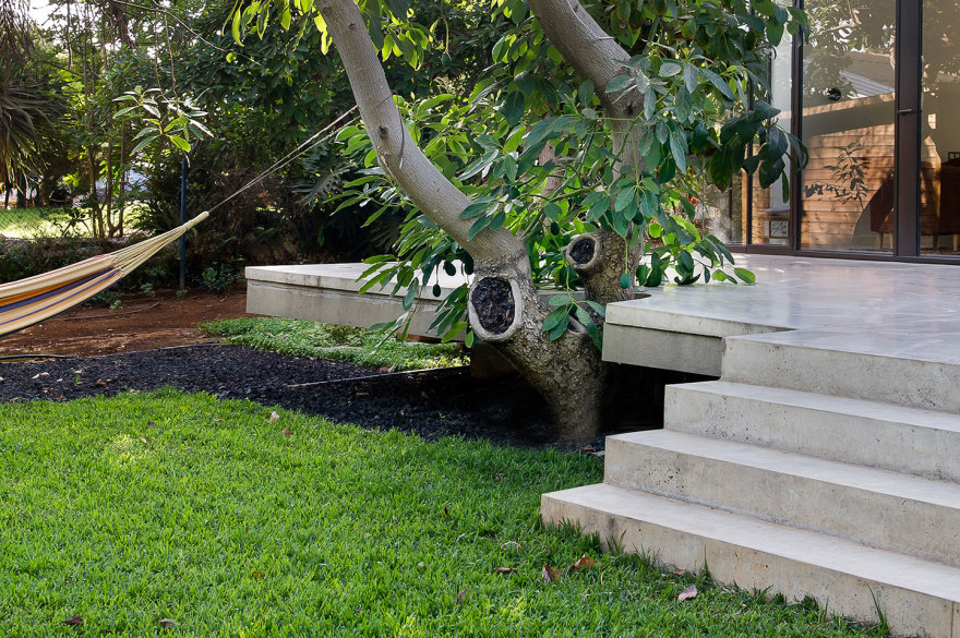 解构主义绿 avocado Grove Residence-4