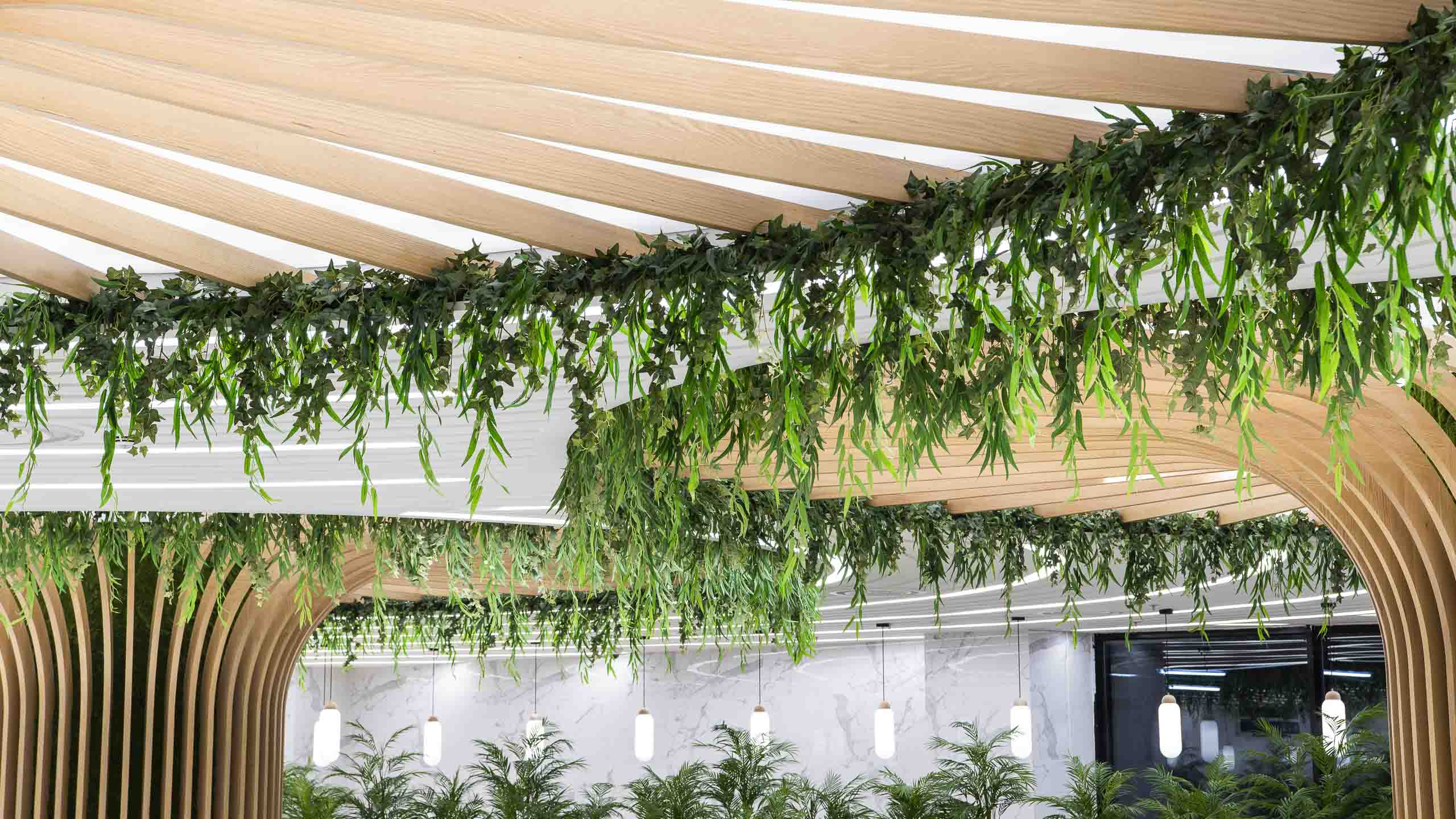 扎伊迪购物中心-6