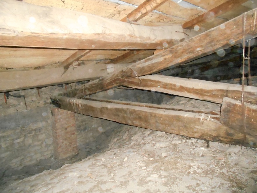 圣弗洛里塔教堂的地震修复-6