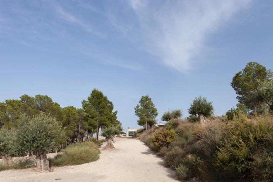 迈格莫山上的房子-18