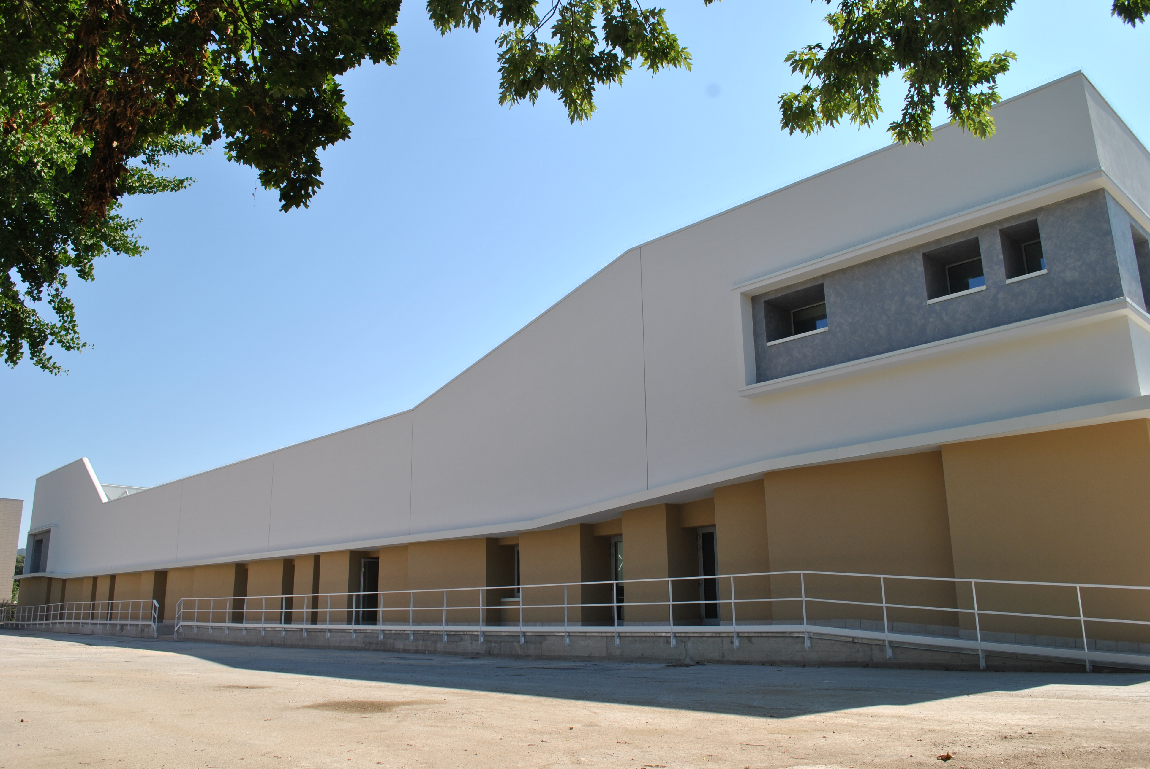 Rettorato Vanvitelli viale Ellittico Caserta-58