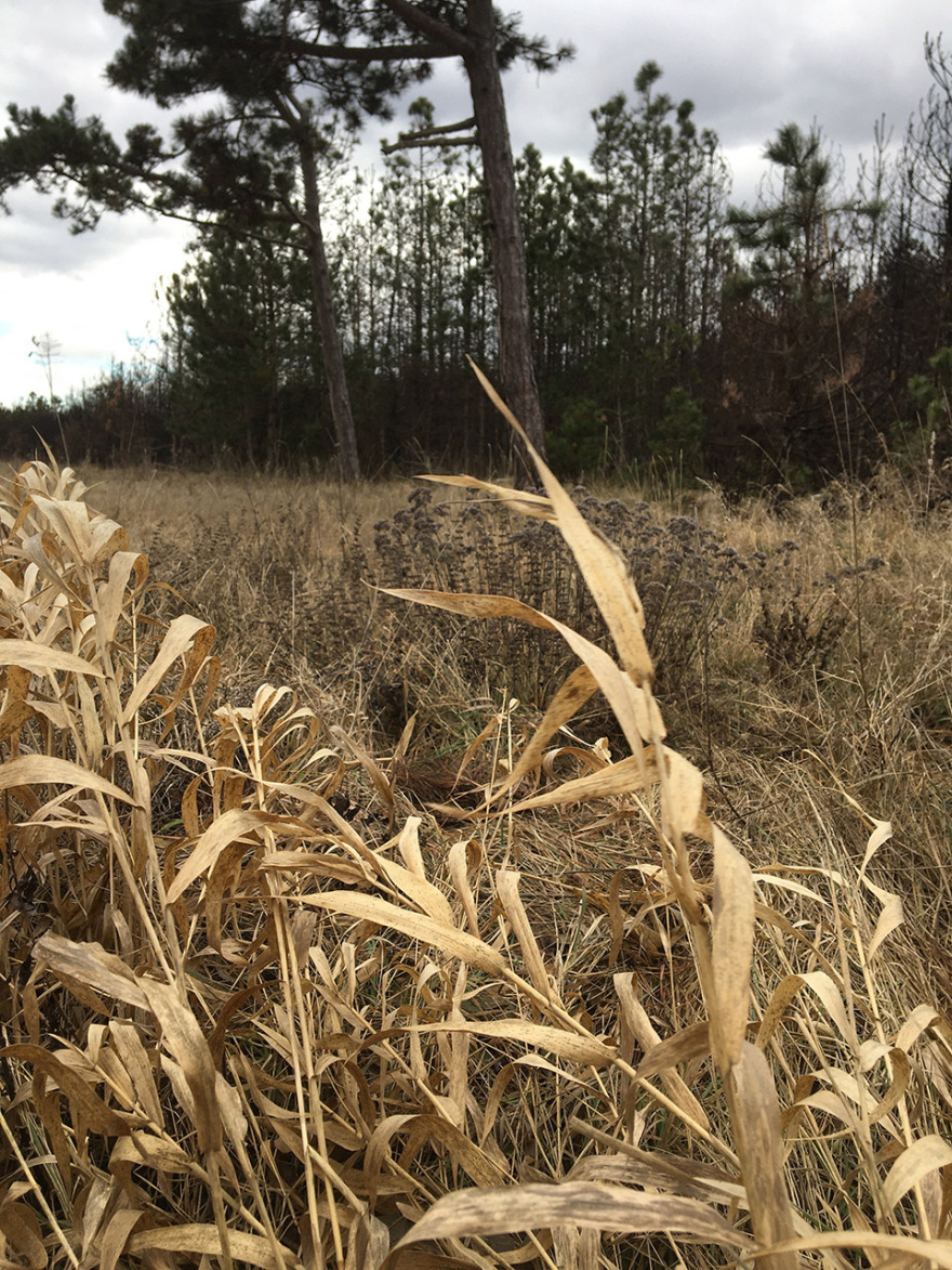 “呼唤希望”沉浸式装置丨奥地利维也纳丨Superflux设计工作室-53