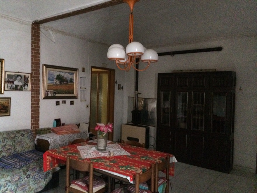 旧公寓翻新变身明亮绿意空间-11