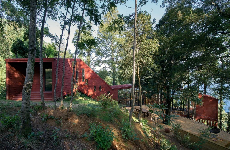 融入森林的日光别墅-26