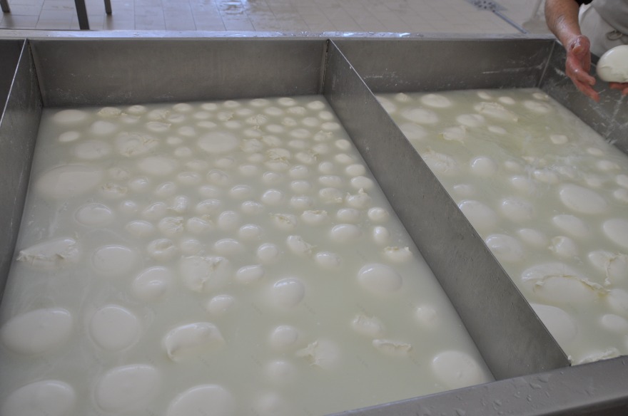 复古车间变身奶酪工坊,手工制作展现纯粹美味-13