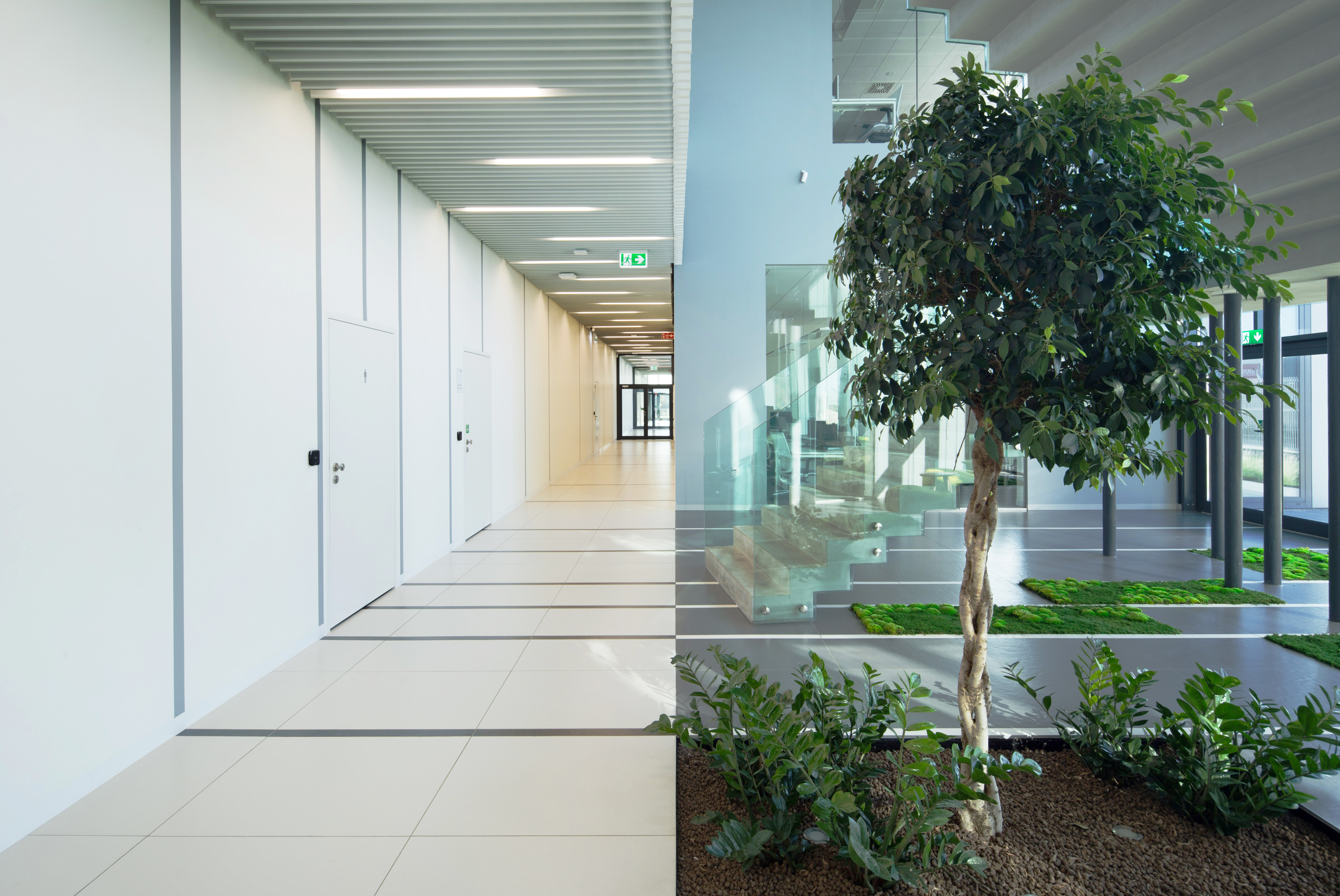 高科技机器研究与开发中心-3