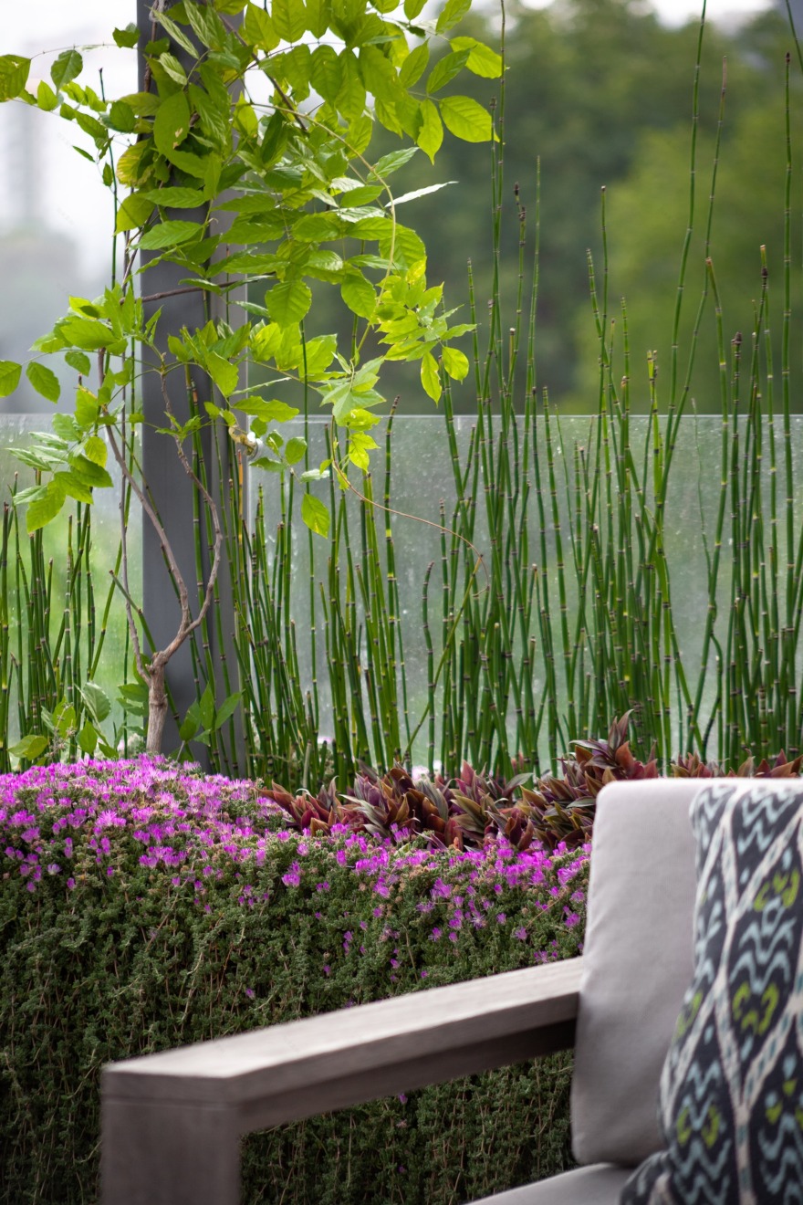 墨西哥 Casa Espejo Verde 垂直花园丨Daniel Gómez Bilbao-6