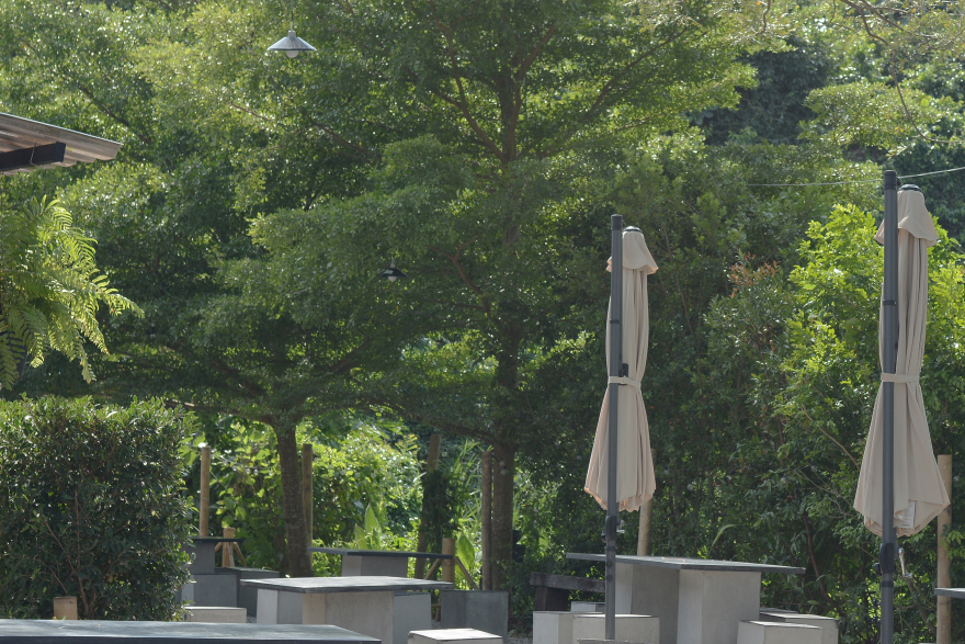 森林中的旋转餐厅“Roti de Forest”-23