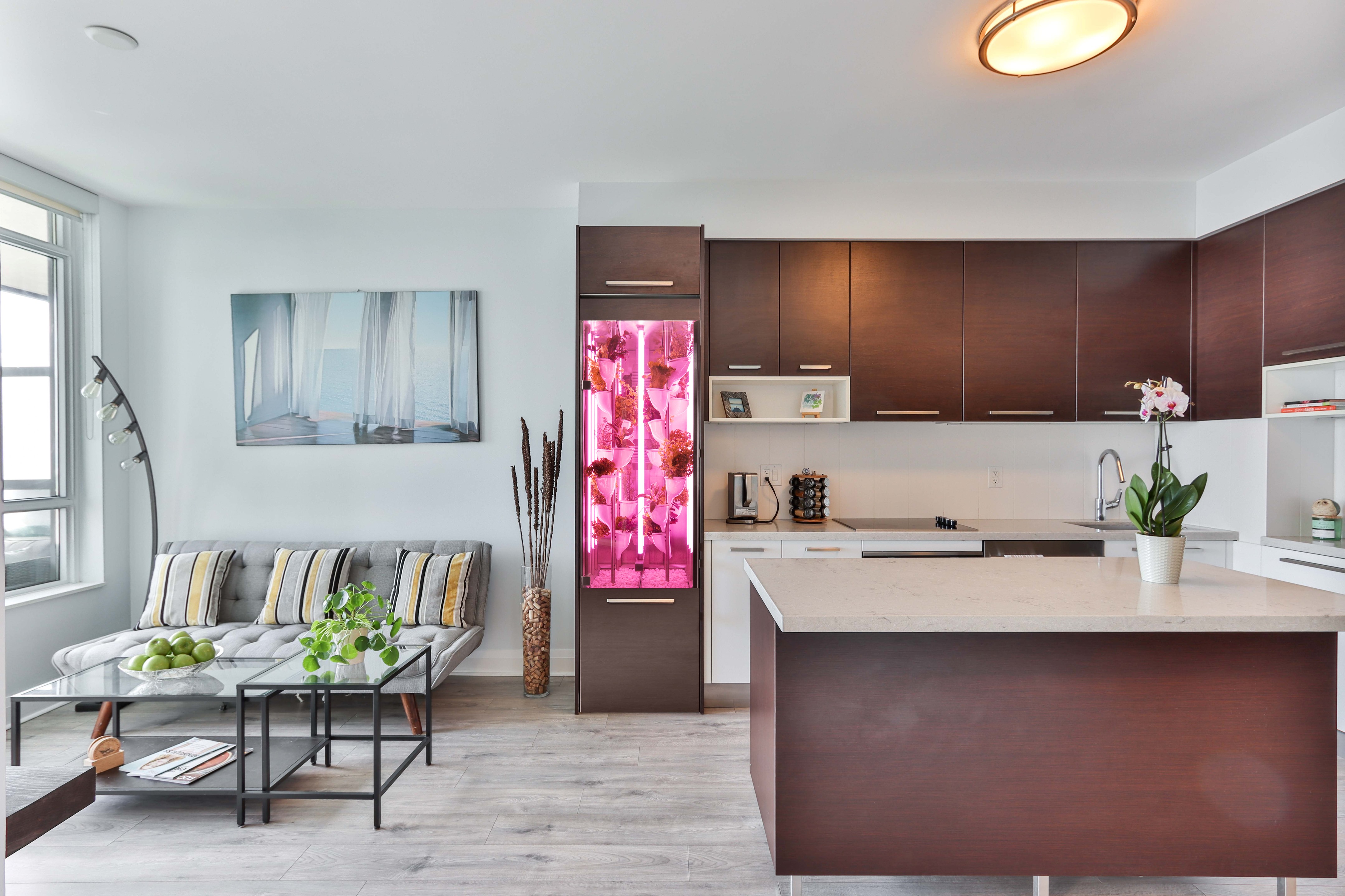 纳图菲娅智能花园-6