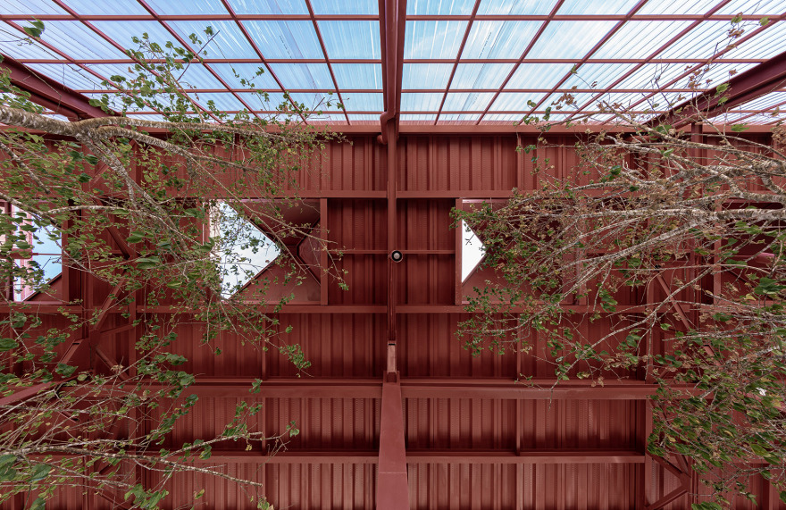 Cầu Đất茶博物馆,越南/历史茶叶工厂焕发新生-46