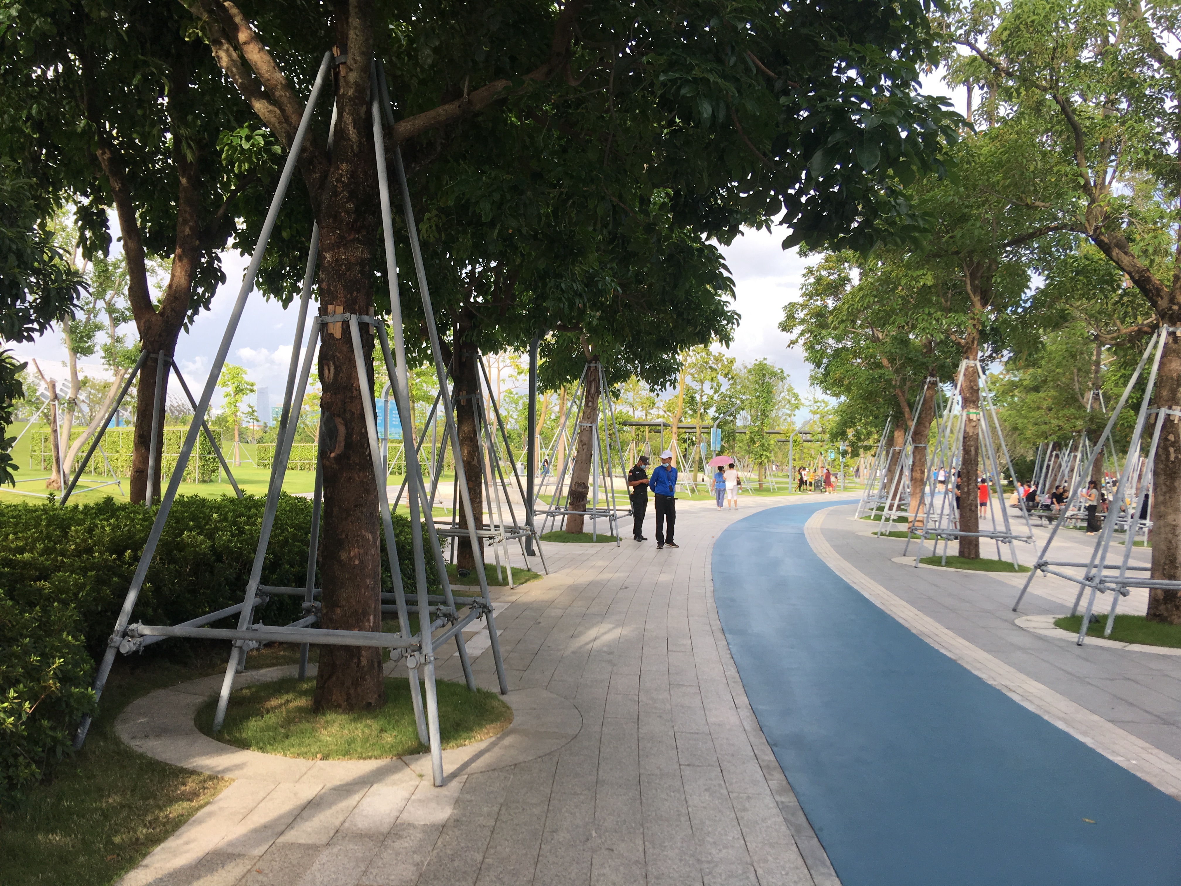 人才公园丨中国深圳-5