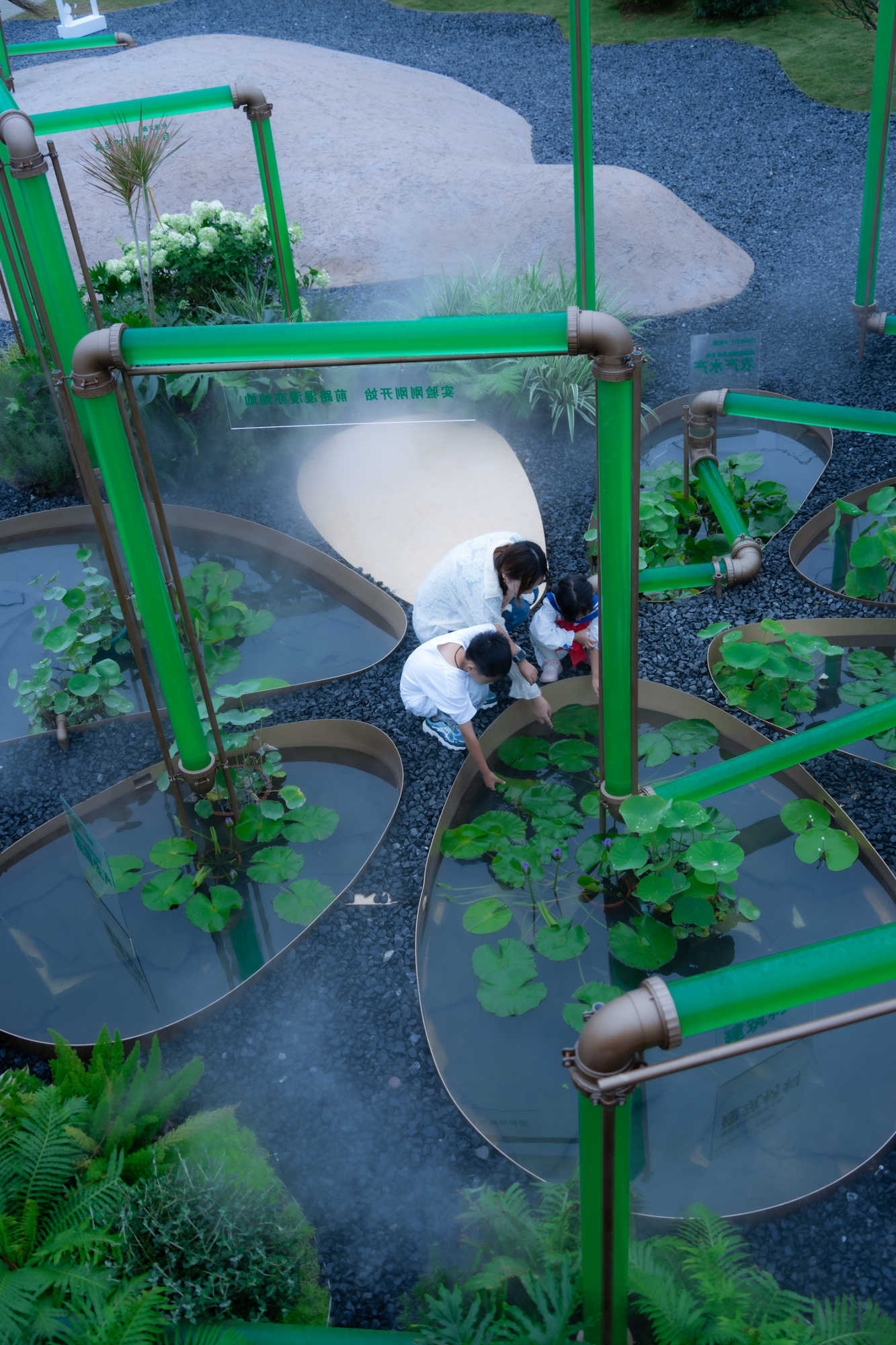2023成都花展-微藻实验花园丨澳博景观丨2023丨四川成都-12