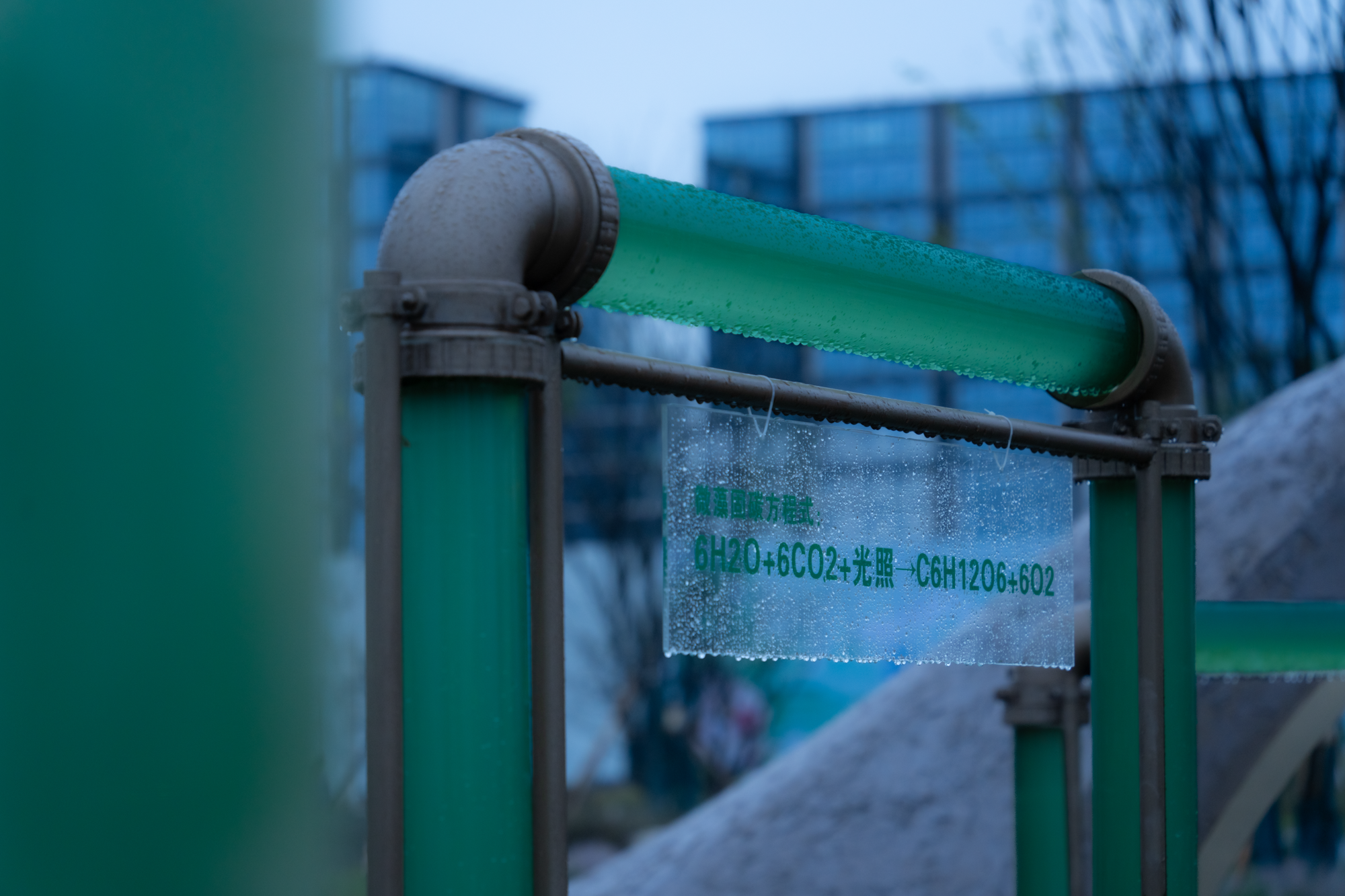 2023成都花展-微藻实验花园丨澳博景观丨2023丨四川成都-33