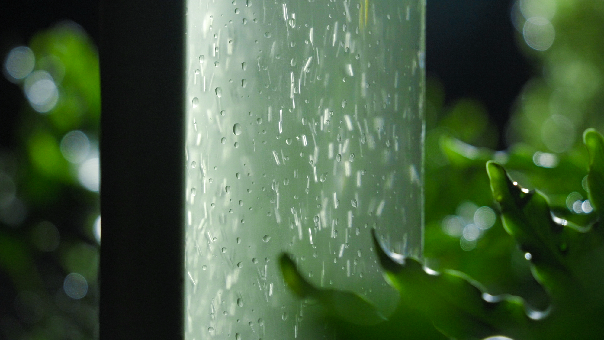 2023成都花展-微藻实验花园丨澳博景观丨2023丨四川成都-35