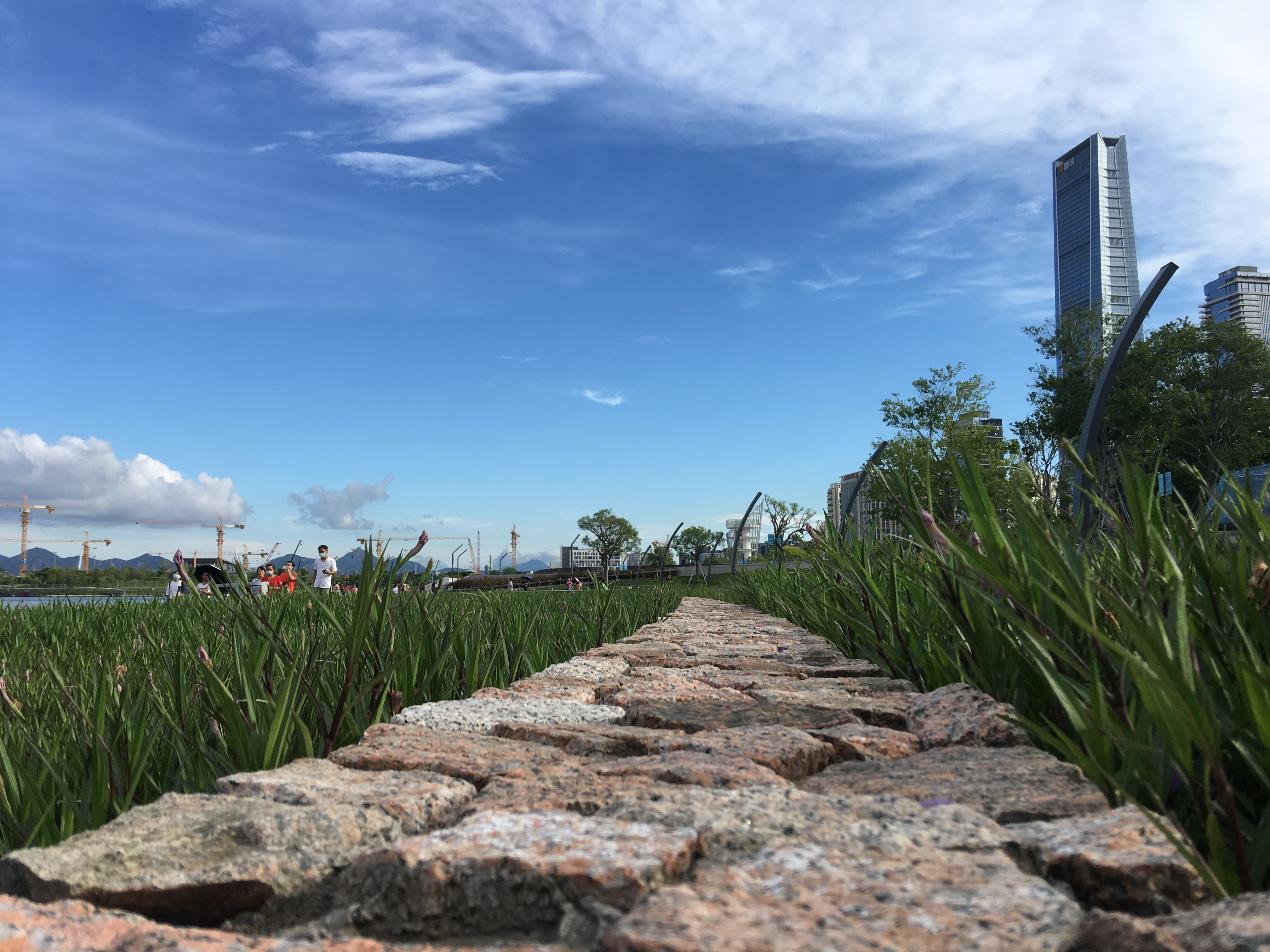 人才公园丨中国深圳-1